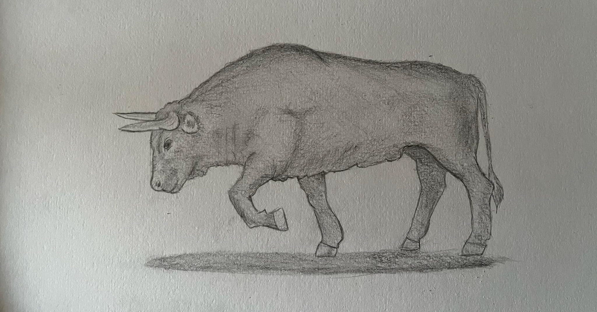 Drawing 6